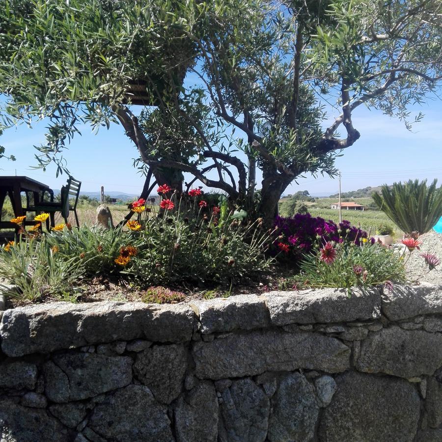 Agriturismo B&B Domo De Resteblas Беркида Екстериор снимка