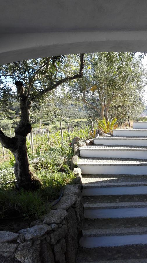 Agriturismo B&B Domo De Resteblas Беркида Екстериор снимка
